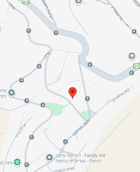 שימקין 21 חיפה