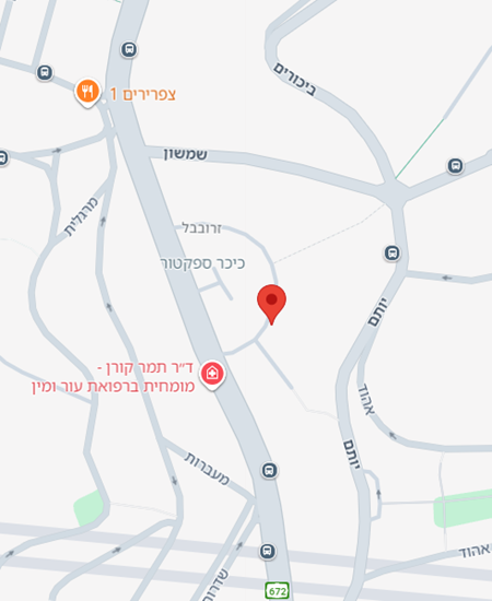 זרובבל 19 חיפה